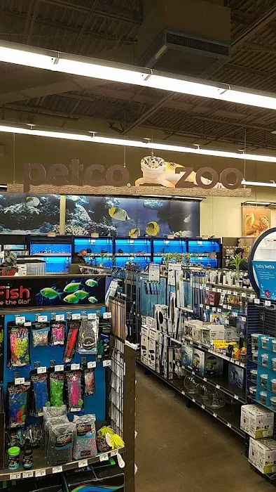 Petco Picture 5
