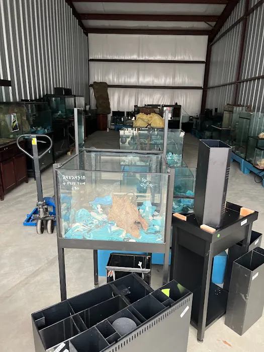 DAS Direct Aquariums Picture 1
