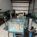 DAS Direct Aquariums