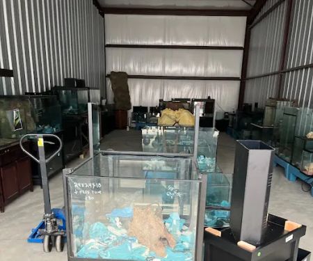 DAS Direct Aquariums