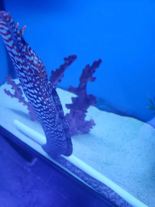 Southwest Reef Co LLC Picture 2