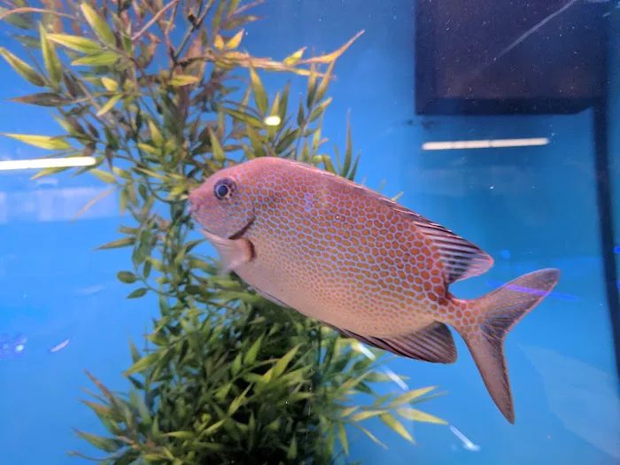 Southwest Reef Co LLC Picture 1