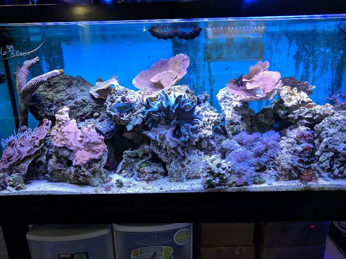 Southwest Reef Co LLC Picture 3