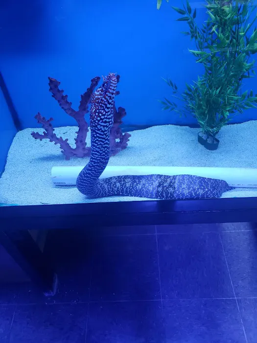 Southwest Reef Co LLC Picture 4