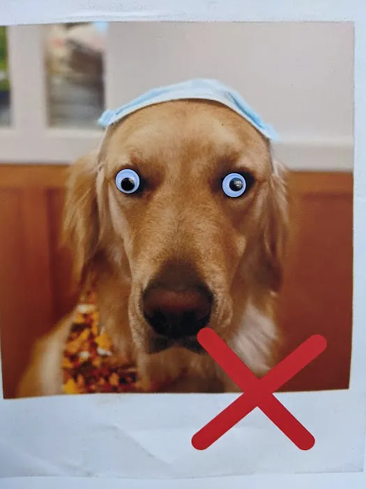 Ambassador Veterinary Hospital Picture 2