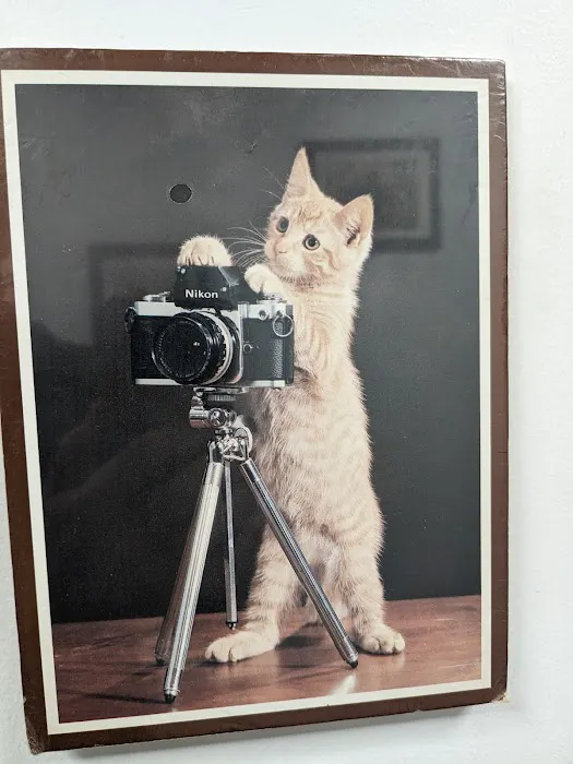 Ambassador Veterinary Hospital Picture 4