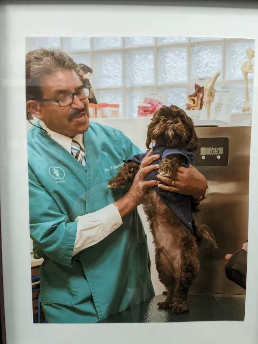 Ambassador Veterinary Hospital Picture 6
