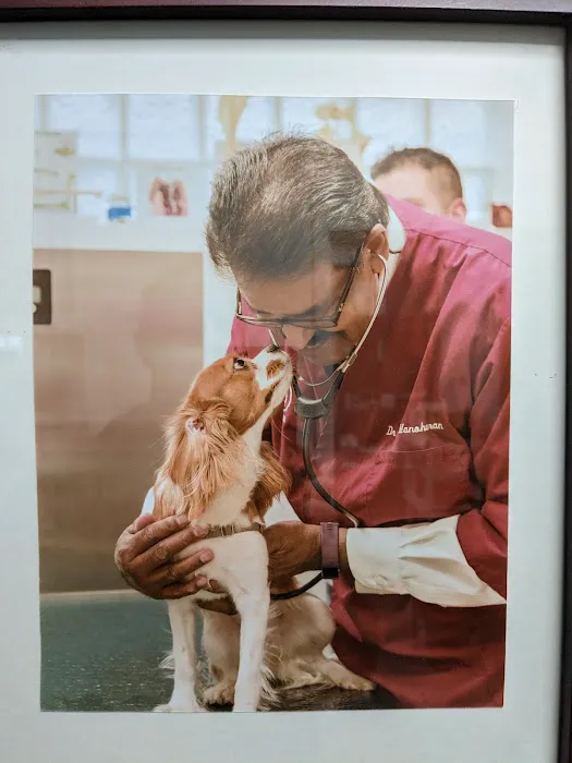 Ambassador Veterinary Hospital Picture 7