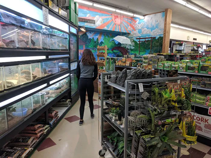 Clark's Pet Emporium Picture 1