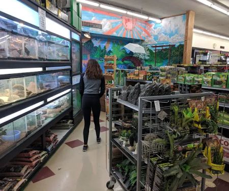 Clark's Pet Emporium