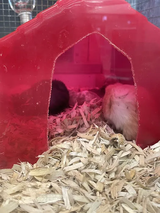 Clark's Pet Emporium Picture 2