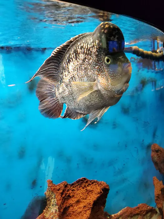 Clark's Pet Emporium Picture 4