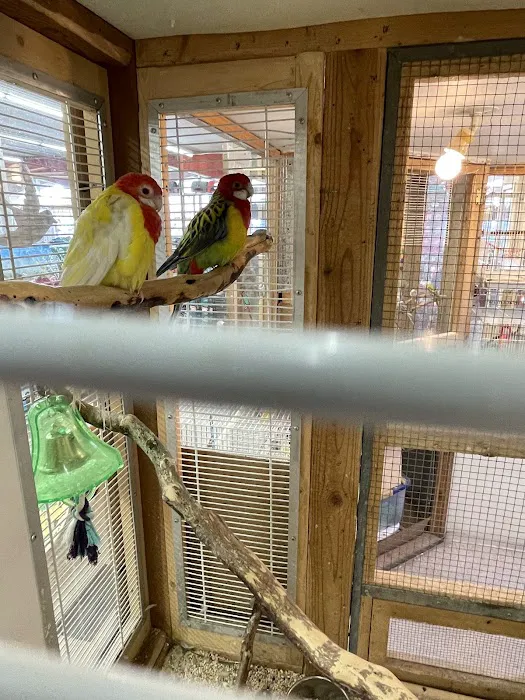 Clark's Pet Emporium Picture 9