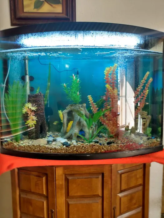 Clark's Pet Emporium Picture 7