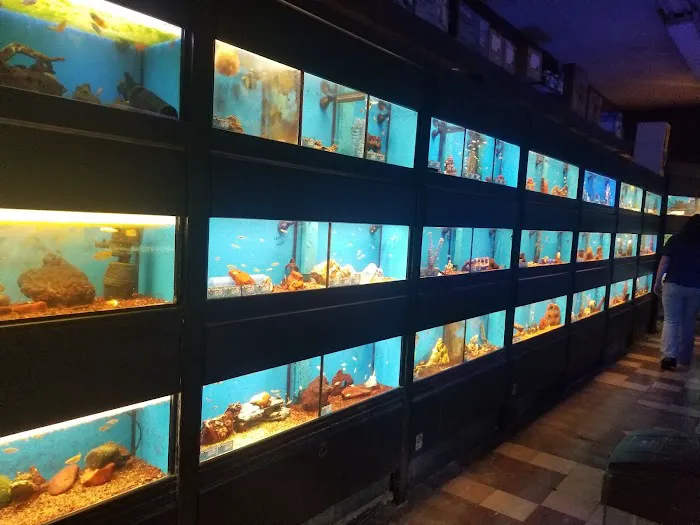 Clark's Pet Emporium Picture 5