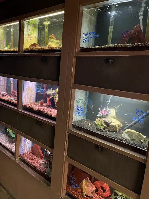 Clark's Pet Emporium Picture 6