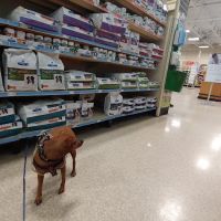 Banfield Pet Hospital ico