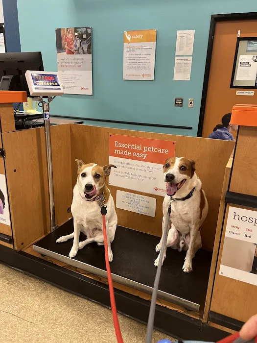 Banfield Pet Hospital Picture 8