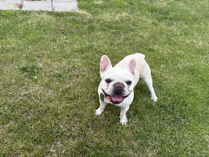 Banfield Pet Hospital Picture 7