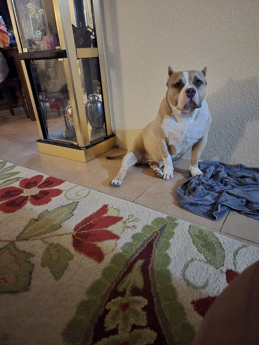 Lucky's Bully Supply Store West Side Picture 1