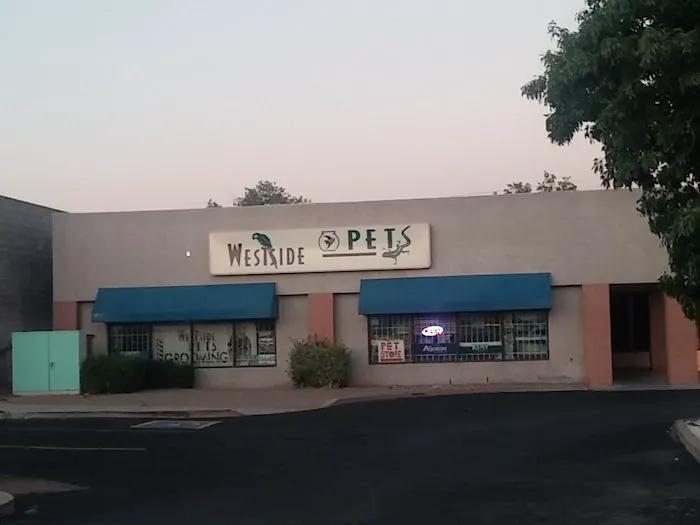 Westside Pets Picture 2