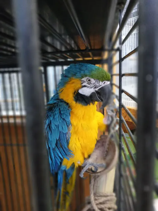 Westside Pets Picture 3