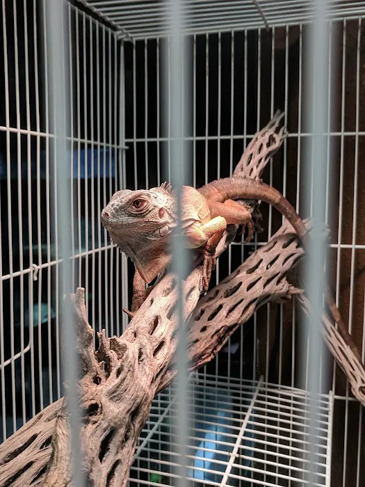 Westside Pets Picture 1
