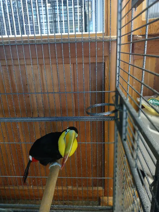 Westside Pets Picture 5