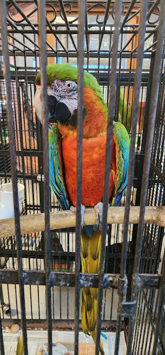 Westside Pets Picture 10