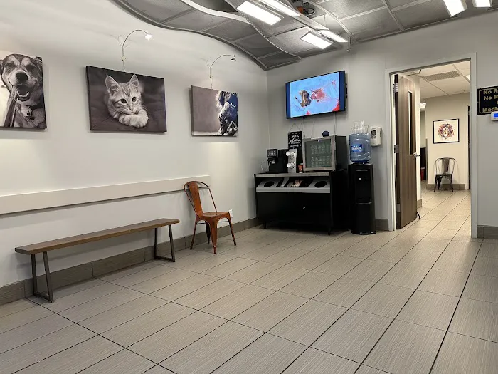 Pure Paws Veterinary Care of Hell's Kitchen Picture 4