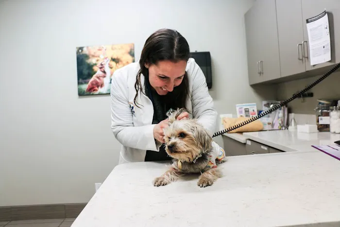 Pure Paws Veterinary Care of Hell's Kitchen Picture 2