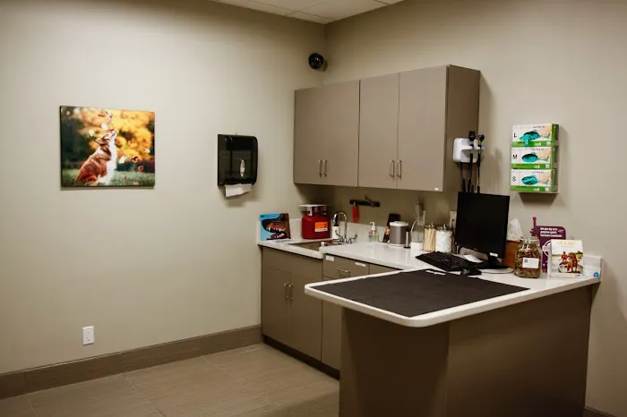Pure Paws Veterinary Care of Hell's Kitchen Picture 7