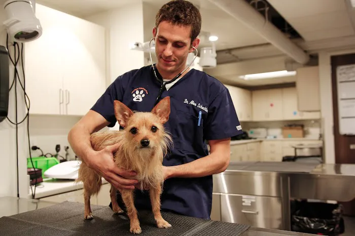 Pure Paws Veterinary Care of Hell's Kitchen Picture 5