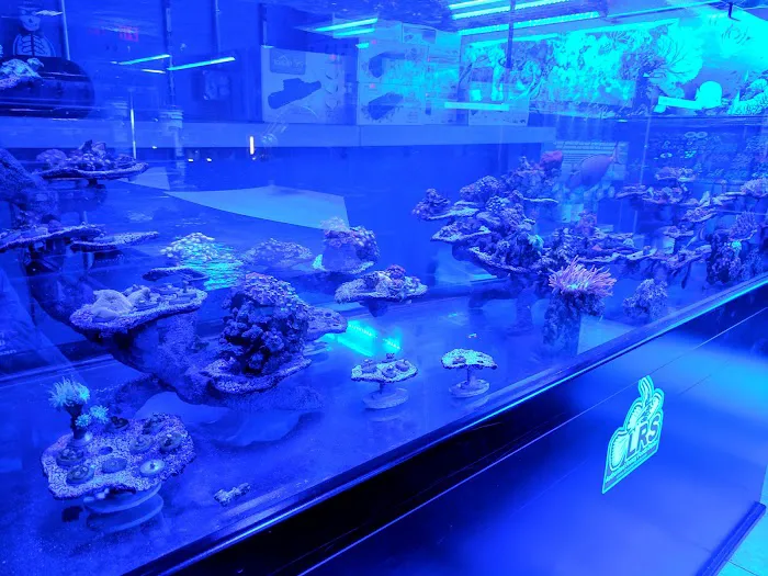 Reef-Licious LLC Picture 4