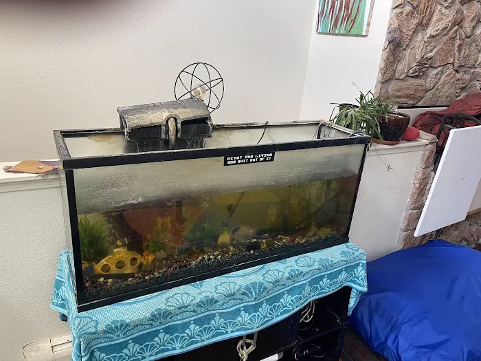 Reef-Licious LLC Picture 10