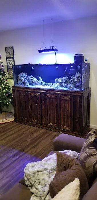 Reef-Licious LLC Picture 6