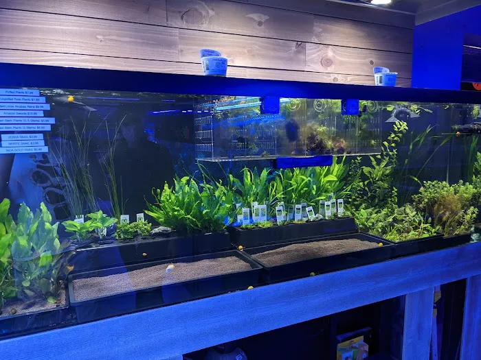 Reef-Licious LLC Picture 7