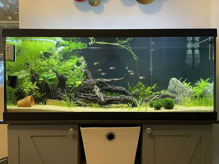 Reef-Licious LLC Picture 9