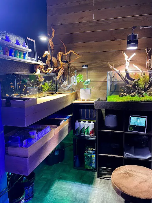 Reef-Licious LLC Picture 2