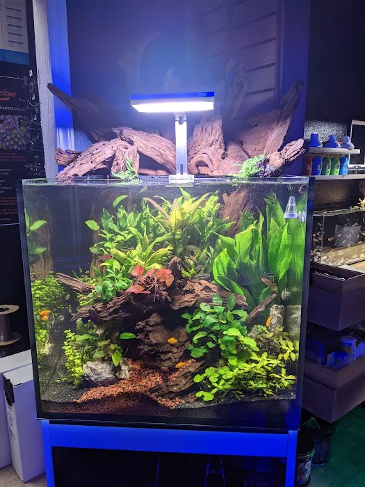 Reef-Licious LLC Picture 5