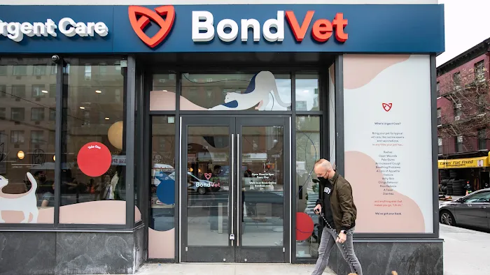 Bond Vet - Hell's Kitchen Picture 10