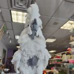 Birds of a Feather Parrot Pantry
