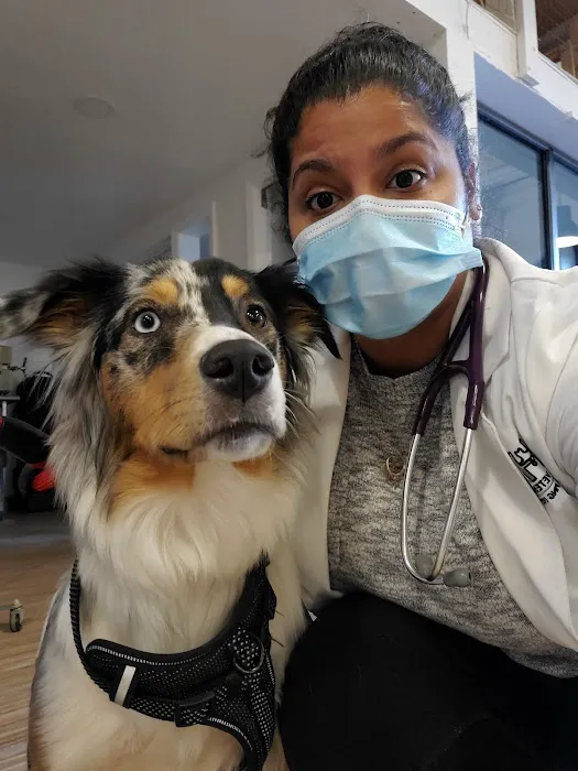 HEAL Veterinary Hospital Picture 7