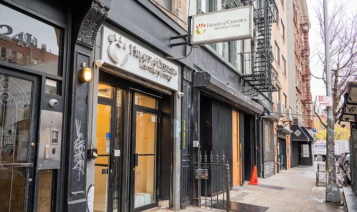 Heart of Chelsea Veterinary Group - Lower East Side Picture 1