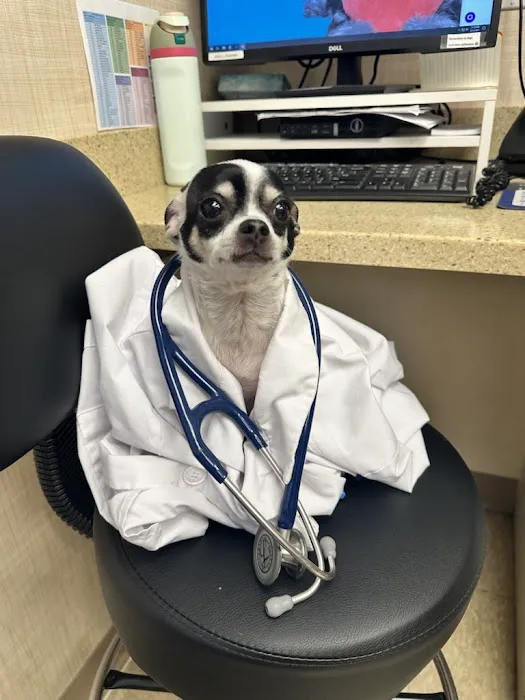 Heart of Chelsea Veterinary Group - Lower East Side Picture 8
