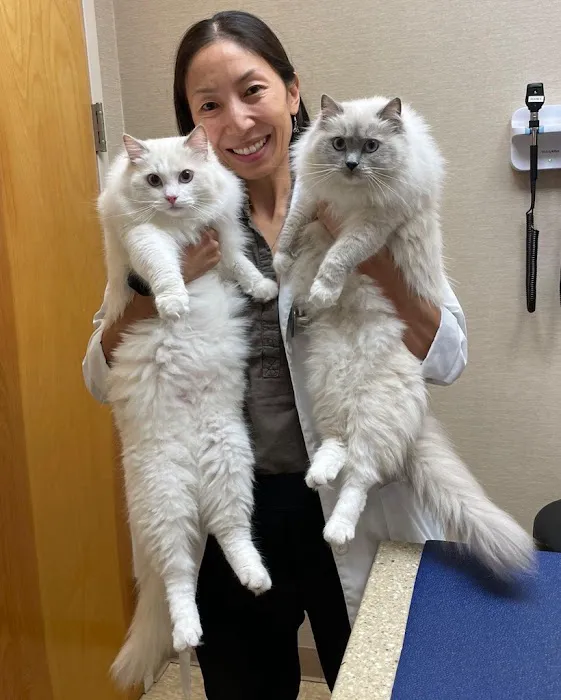 Heart of Chelsea Veterinary Group - Lower East Side Picture 6