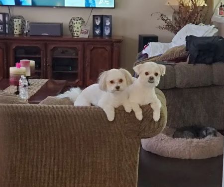 Jack & Rascals