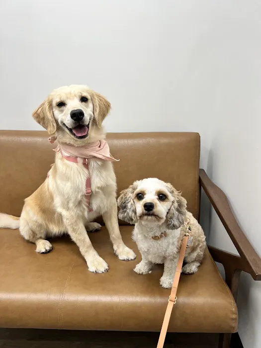 The Animal Cardiology Center Picture 1