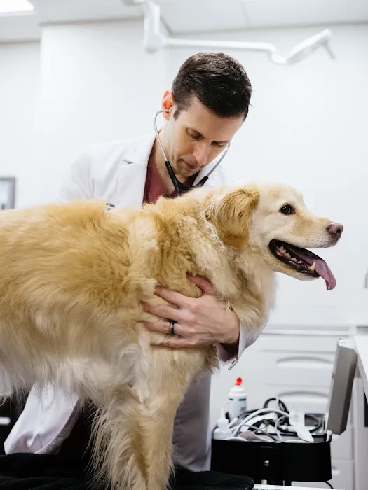 The Animal Cardiology Center Picture 8