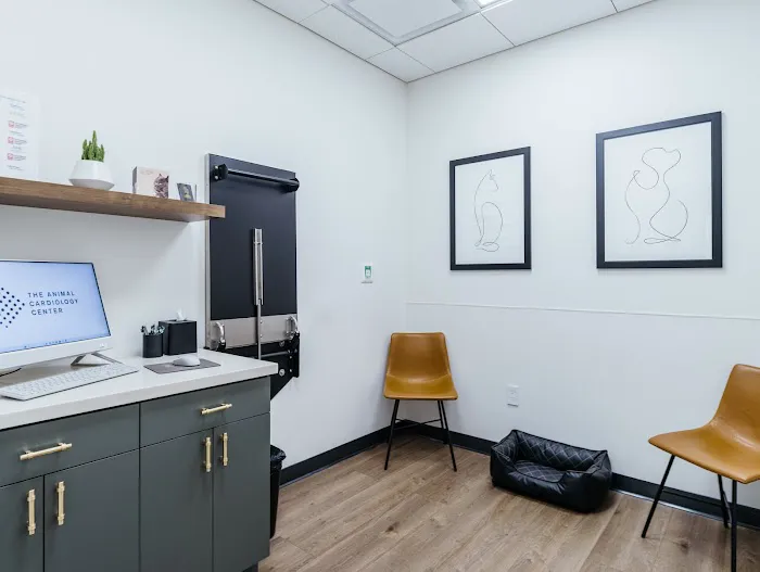 The Animal Cardiology Center Picture 3